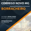 Apostila Borracheiro Pref Córrego Novo MG 2022