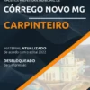Apostila Carpinteiro Pref Córrego Novo MG 2022