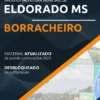 Apostila Borracheiro Concurso Pref Eldorado MS 2022