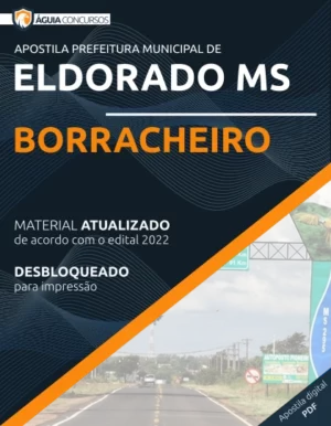 Apostila Borracheiro Concurso Pref Eldorado MS 2022