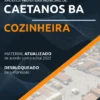 Apostila Cozinheira Concurso Pref Caetanos BA 2022
